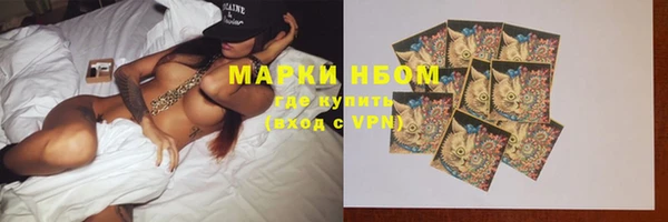 шишки Магас
