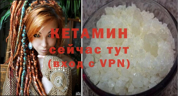 шишки Магас