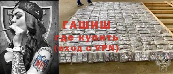 шишки Магас