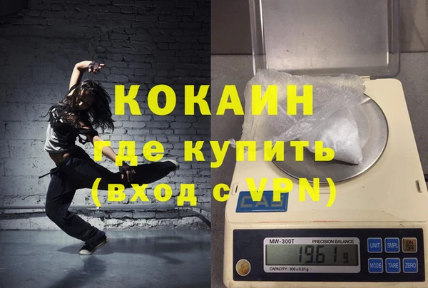 шишки Магас