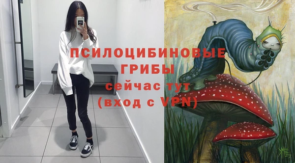 мяу мяу мука Абаза