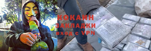 шишки Магас
