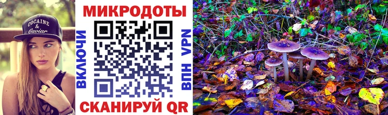 Псилоцибиновые грибы Psilocybine cubensis  купить наркотик  Ильский 